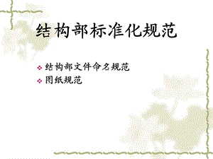 结构部标准化规范.ppt