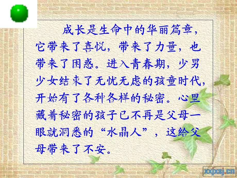 课 我们不是水晶人.ppt_第2页