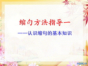 缩句方法指导.ppt