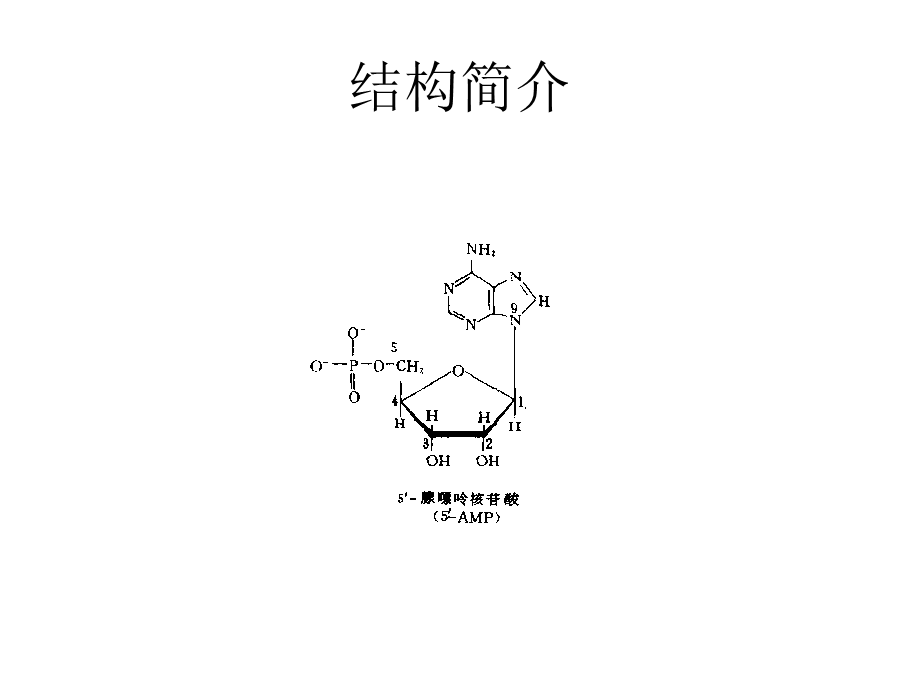 酵母RNA的提取修改.ppt_第2页