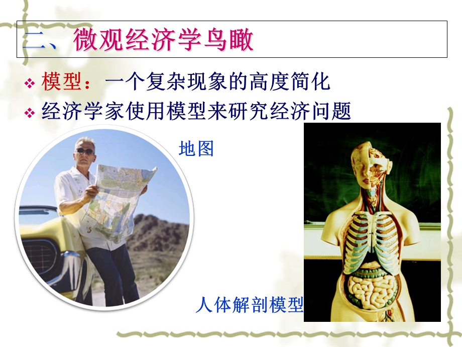 经济学需求与供给理论.ppt_第3页