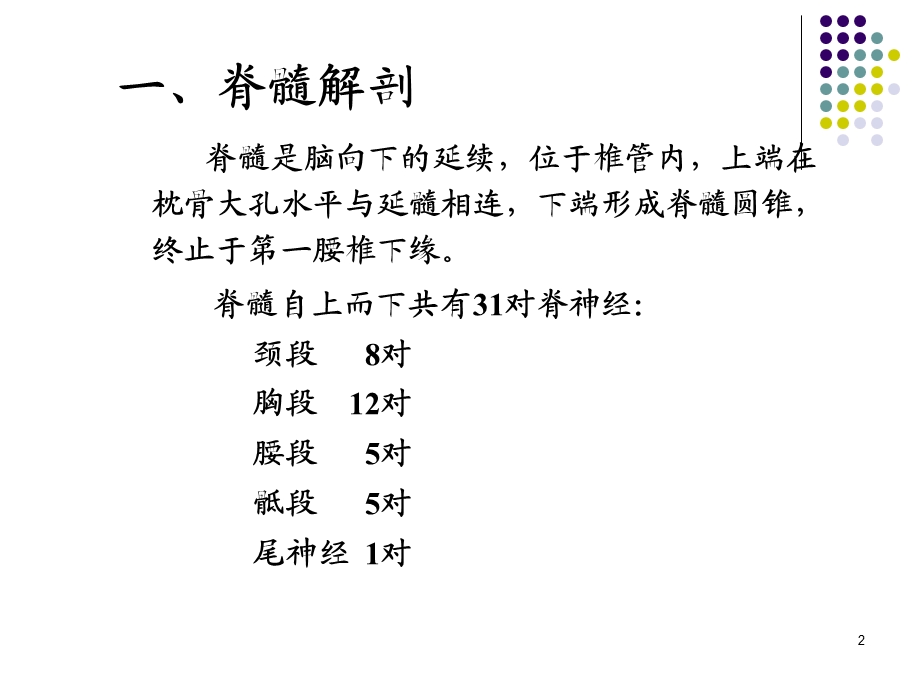 脊髓疾病护理查房PPT课件.ppt_第2页