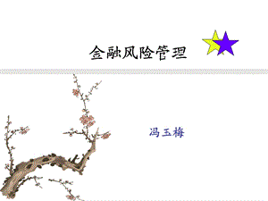 金融风险管理1概述.ppt