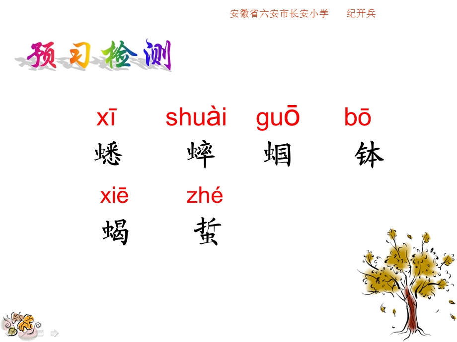 课《表里的生物PPT课件》.ppt_第3页