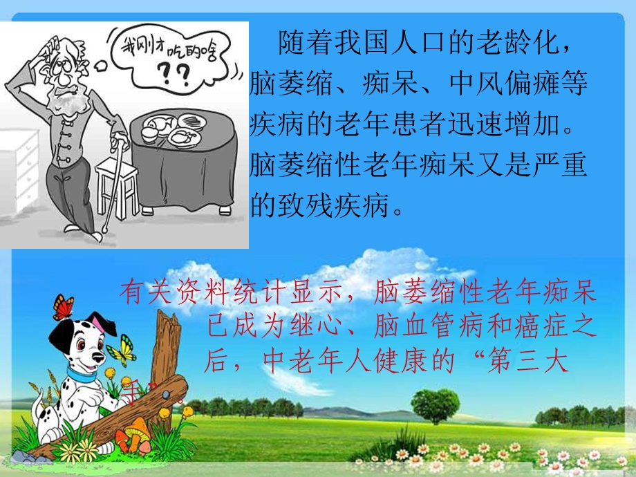 老年痴呆病人的护理.ppt_第2页