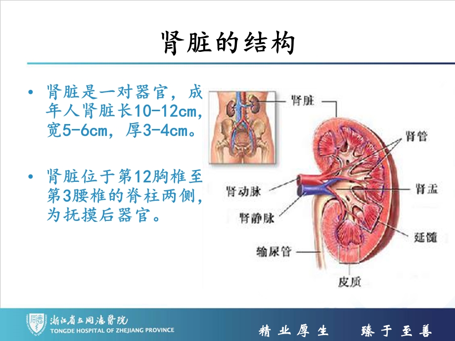 肾内科护理常规.ppt_第3页