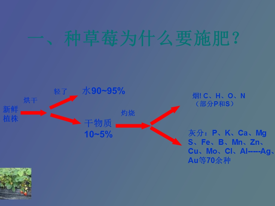 谈谈草莓施肥.ppt_第3页