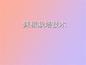 辣椒栽培技术.ppt