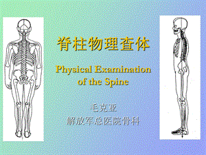 脊柱物理查体.ppt