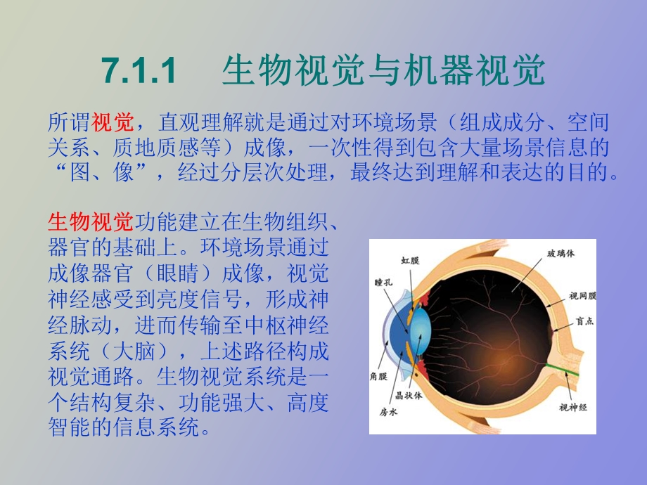 视觉传感技术.ppt_第2页