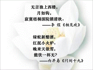 鉴赏形象景物形象.ppt