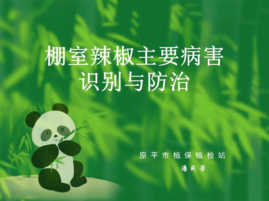 辣椒病害识别与防治.ppt_第1页