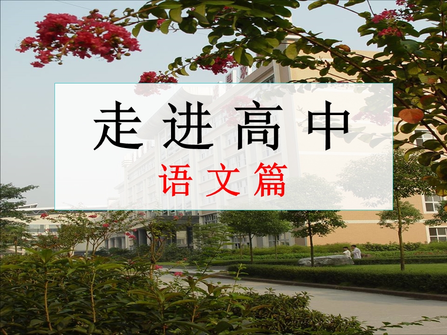 语文开学课1课时.ppt_第1页