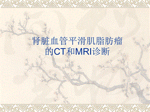 肾脏血管平滑肌脂肪瘤的CT和MRI诊断.ppt