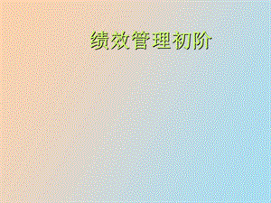 绩效管理初阶.ppt