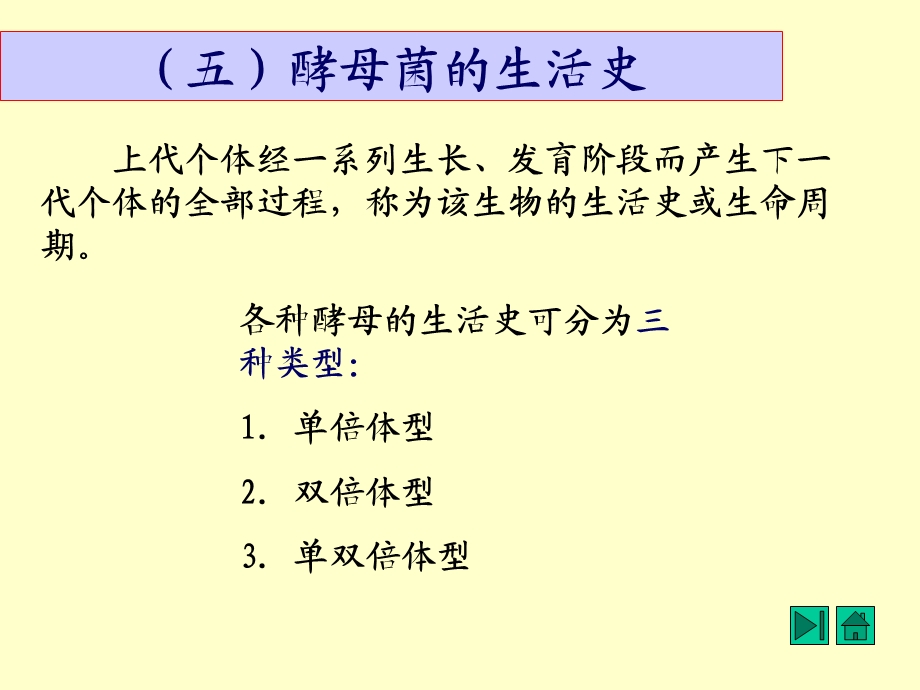 酵母菌培养的特征.ppt_第2页