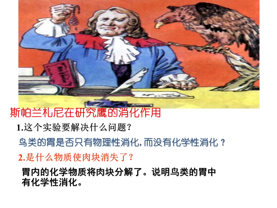 降低化学反应活化能的酶卢.ppt_第2页