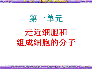 课时遗传信息的携带者-核酸细胞中的糖类和脂质.ppt