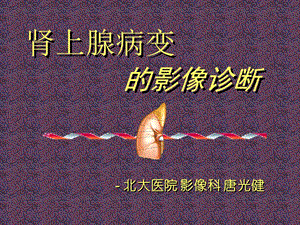 肾上腺病变的影像诊断-唐光健ppt课件.ppt