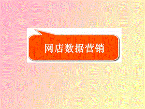 网店数据营销.ppt