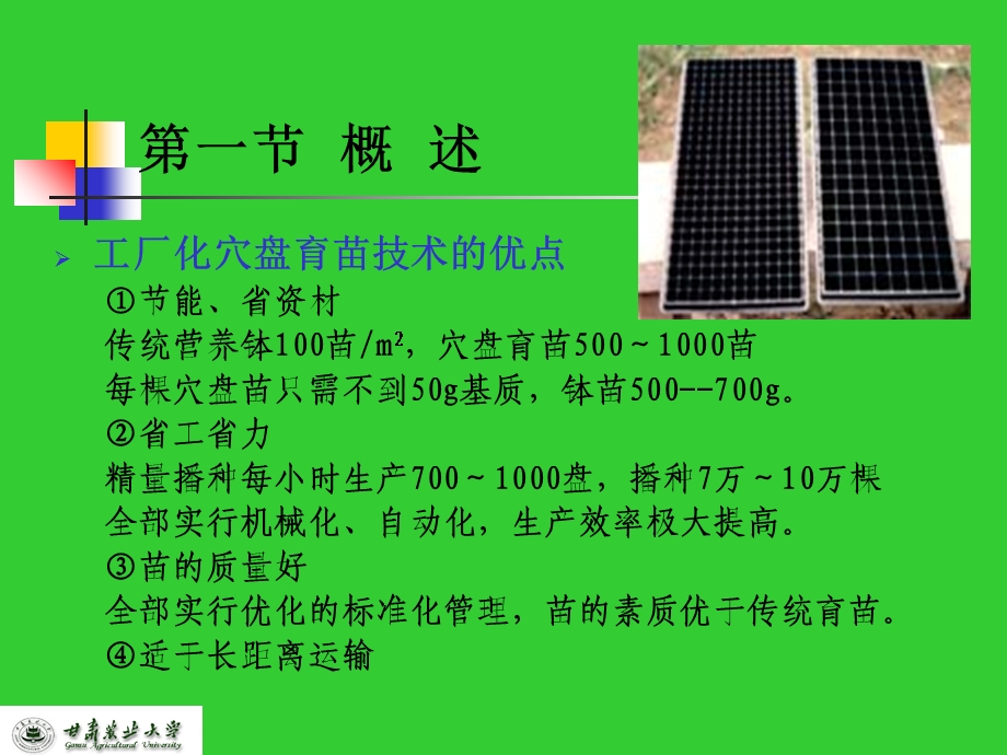 设施育苗技术教学.ppt_第2页