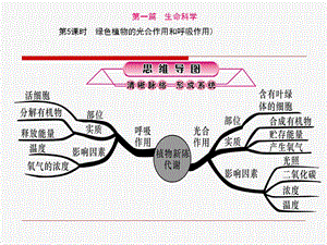 课时绿色植物的光合作用和呼吸作用.ppt