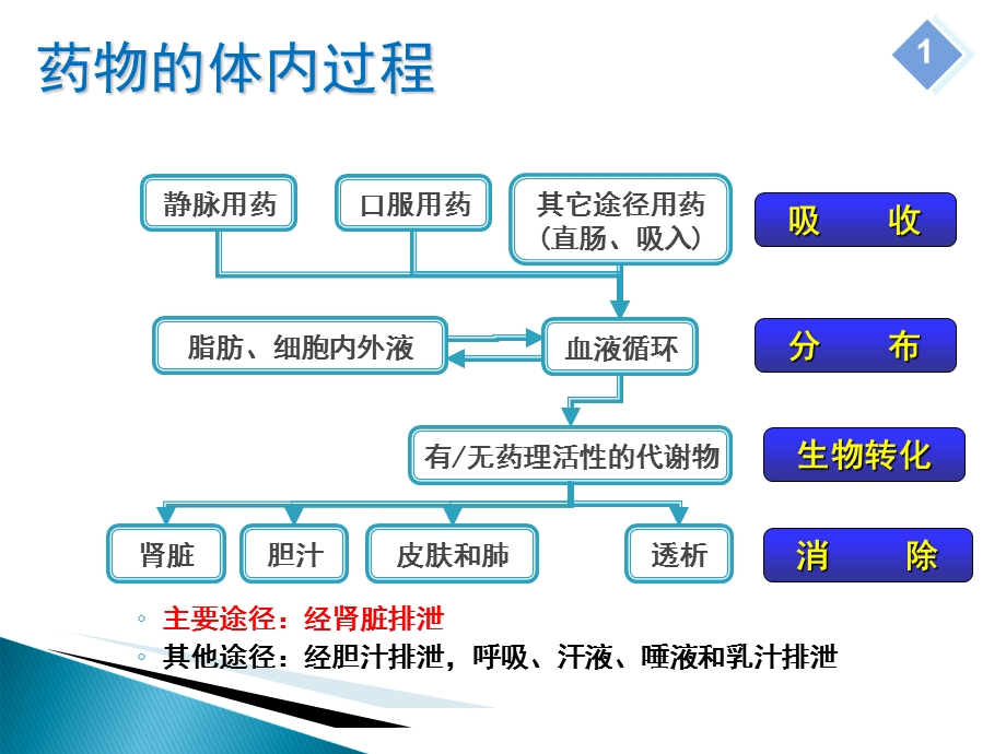 肾功能不全患者的合理用药-周颖.ppt_第3页