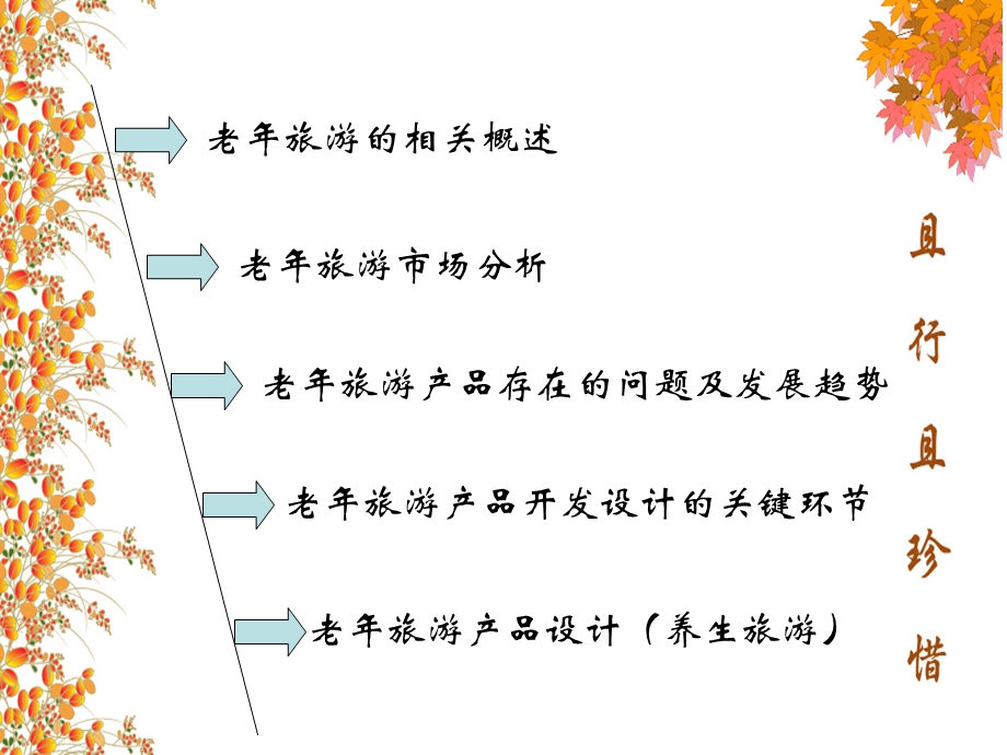 老年旅游产品设计.ppt_第2页