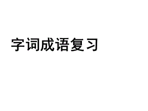 语文字词、成语复习.ppt