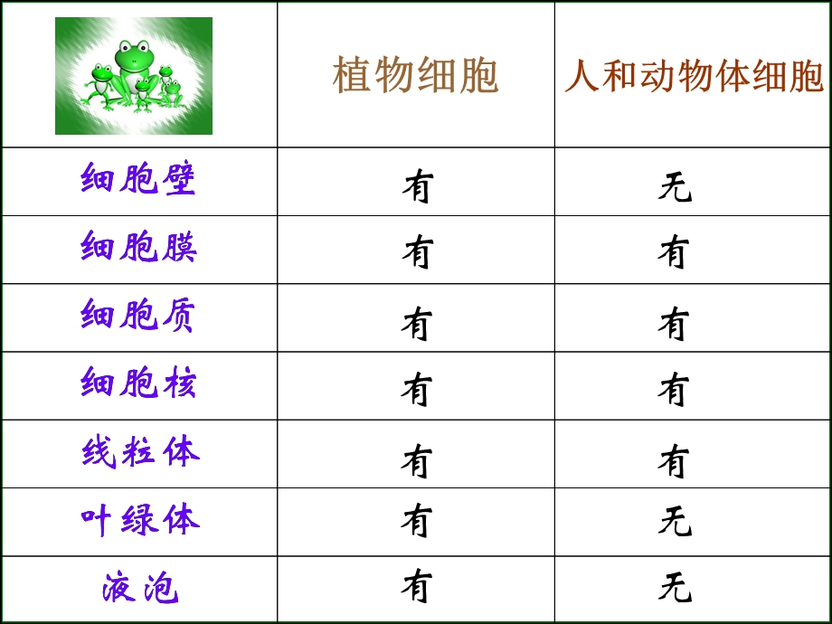 苏科版生物七年级下册复习ppt全.ppt_第3页