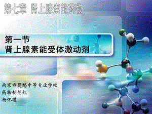 肾上腺素能受体激动剂.ppt