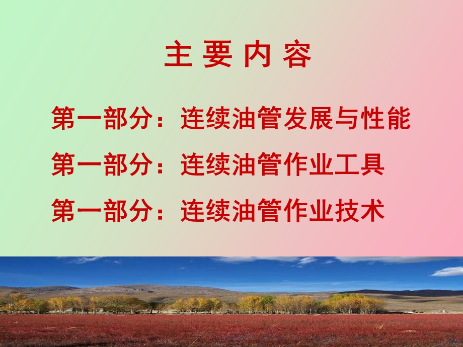 连续油管技术.ppt_第2页