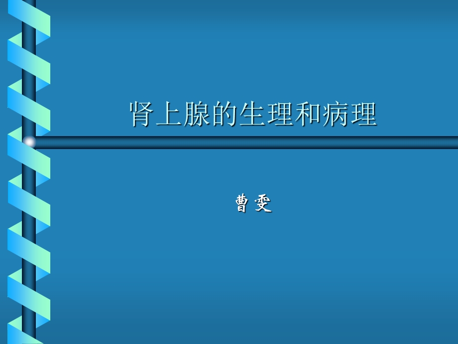 肾上腺的生理和病理ppt课件.ppt_第1页