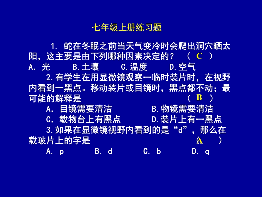 语文上册练习题.ppt_第2页