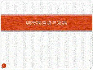 结核病发病学ppt课件.ppt