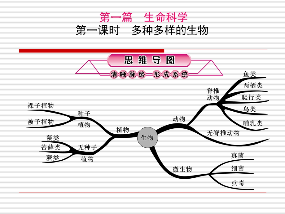 课时多种多样的生物.ppt_第1页