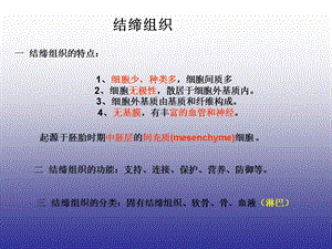 结缔组织-固有结缔组织A.ppt