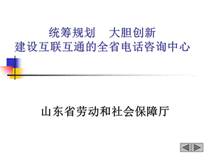 统筹规划大胆创新建设互联互通的全省电话咨询中心.ppt