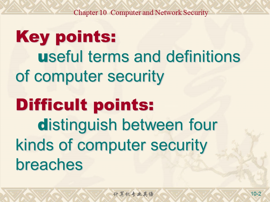 计算机专业英语第10章.ppt_第2页