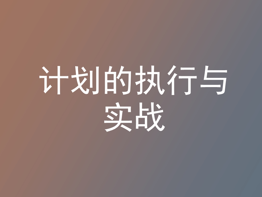 计划的实行与执行.ppt_第1页