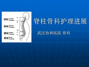 脊柱骨科护理进展.ppt