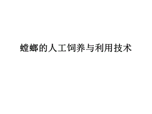 经济昆虫资源学第九章螳螂的人工饲养与利用技术.ppt