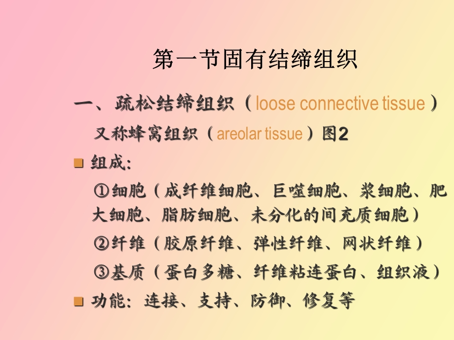 结缔组织医学医药.ppt_第2页