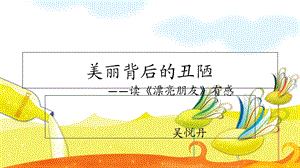 美丽背后的丑陋.ppt