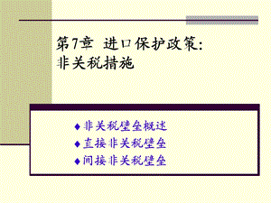 进口保护政策：非关税措施.ppt