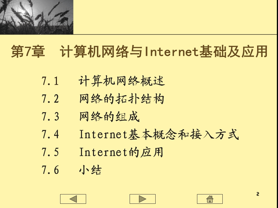 计算机网络与Internet基础及应.ppt_第2页