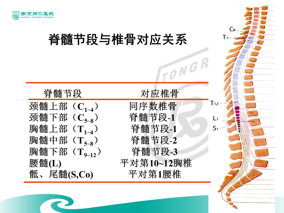 脊髓损伤神经学分类国际标准.ppt_第3页