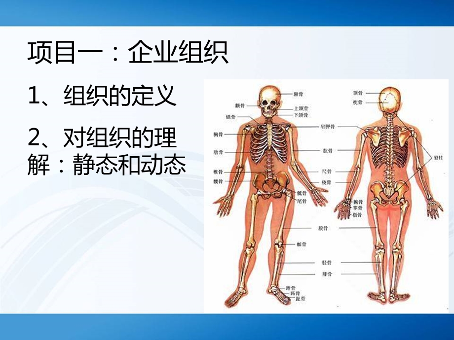 经典实用课件：现代企业管理企业组织与企业文化.ppt_第3页