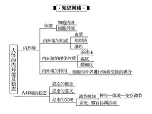 苏教版生物必修三课件知识点总结.ppt