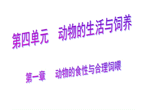 生物结业课件：动物的食性.ppt